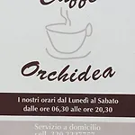 Dimoramadonnella